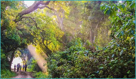 9 of the Best Programs for Conservation Volunteering Abroad