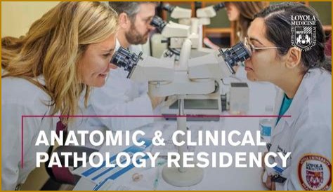 Anatomic Pathology and Clinical Pathology (AP/CP) Residency Program