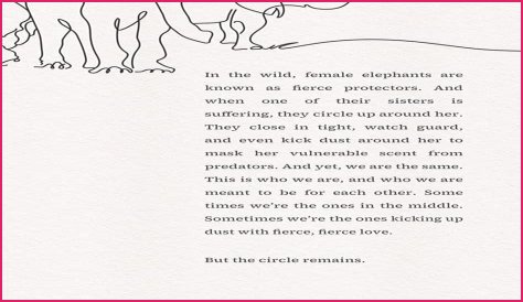 FactsVerse Firmly Believes That Nothing is Impossible Which is What their new Baby Elephant's Story Exemplifies