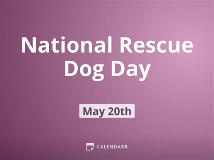Bow Wow! It’s National Rescue Dog Day May 20th.