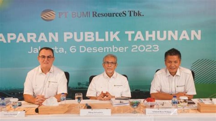 Saham Bumi Resources Melejit 153,7 Persen, Eks Bos BEJ Wanti-wanti Ini ke Investor