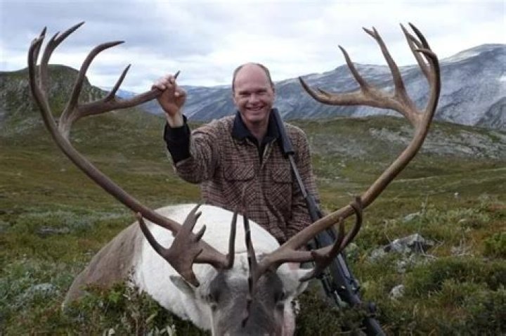 Scots firm selling sick reindeer shooting trips to trophy hunters at Christmas