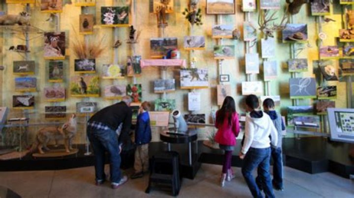 Wild Fest! At FCMOD | Macaroni KID Fort Collins